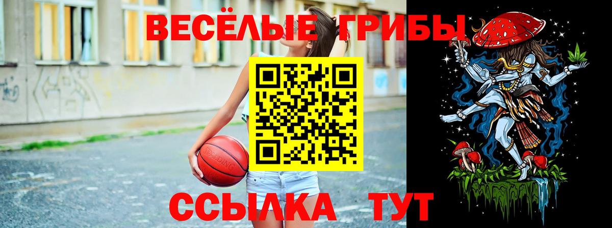 Псилоцибиновые грибы Psilocybe Карабулак