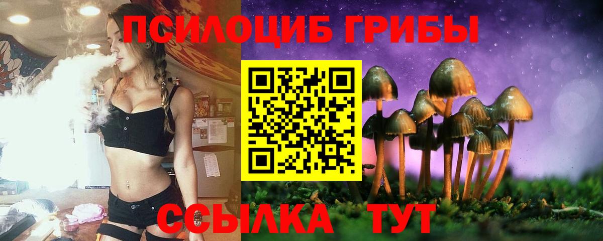 Карабулак  Псилоцибиновые грибы прущие грибы  наркота  Галлюциногенные грибы прущие грибы  Вход с VPN 